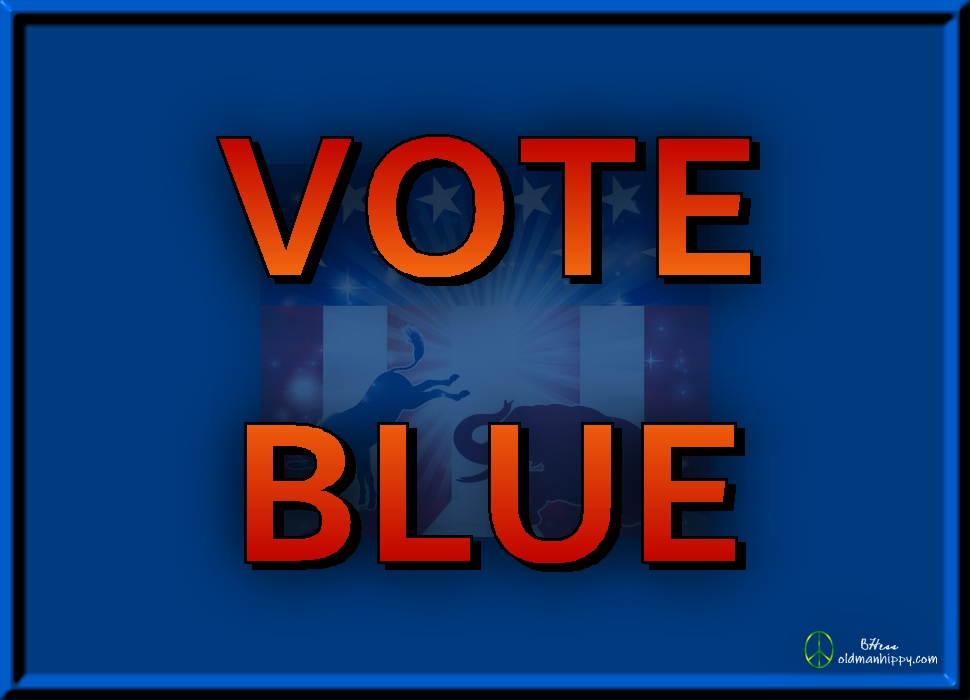 Voting Blue Is Important